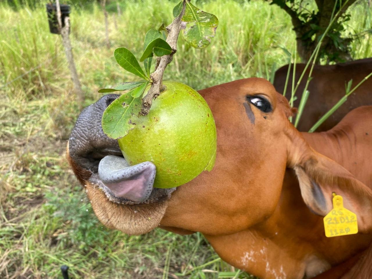 WhatsApp Image 2025-11-24 at 6.03.00 PM