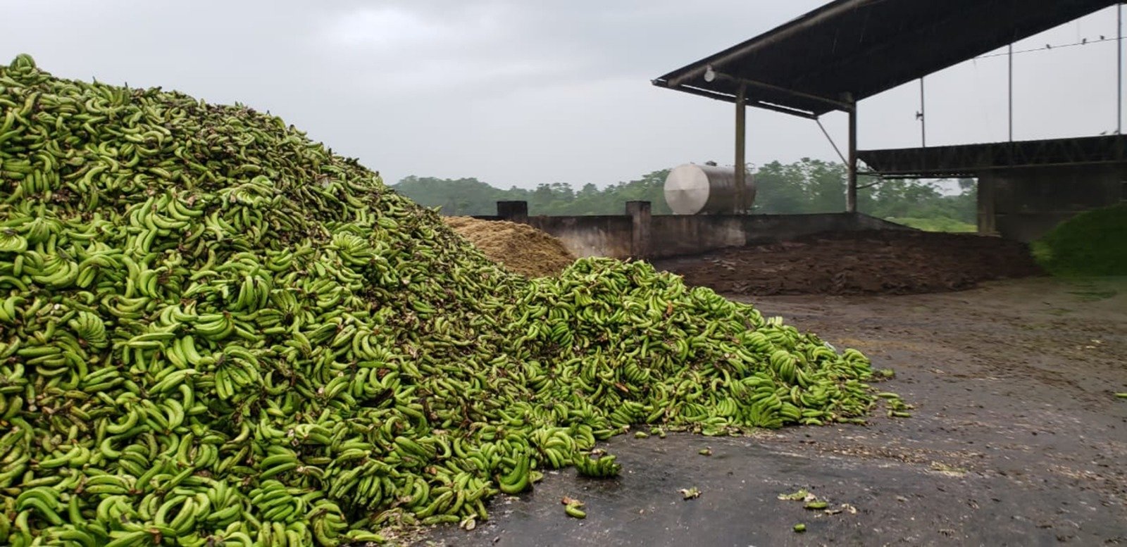 WhatsApp Image 2025-11-24 at 6.06.38 PM (1)