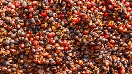 WhatsApp Image 2025-11-24 at 6.07.22 PM