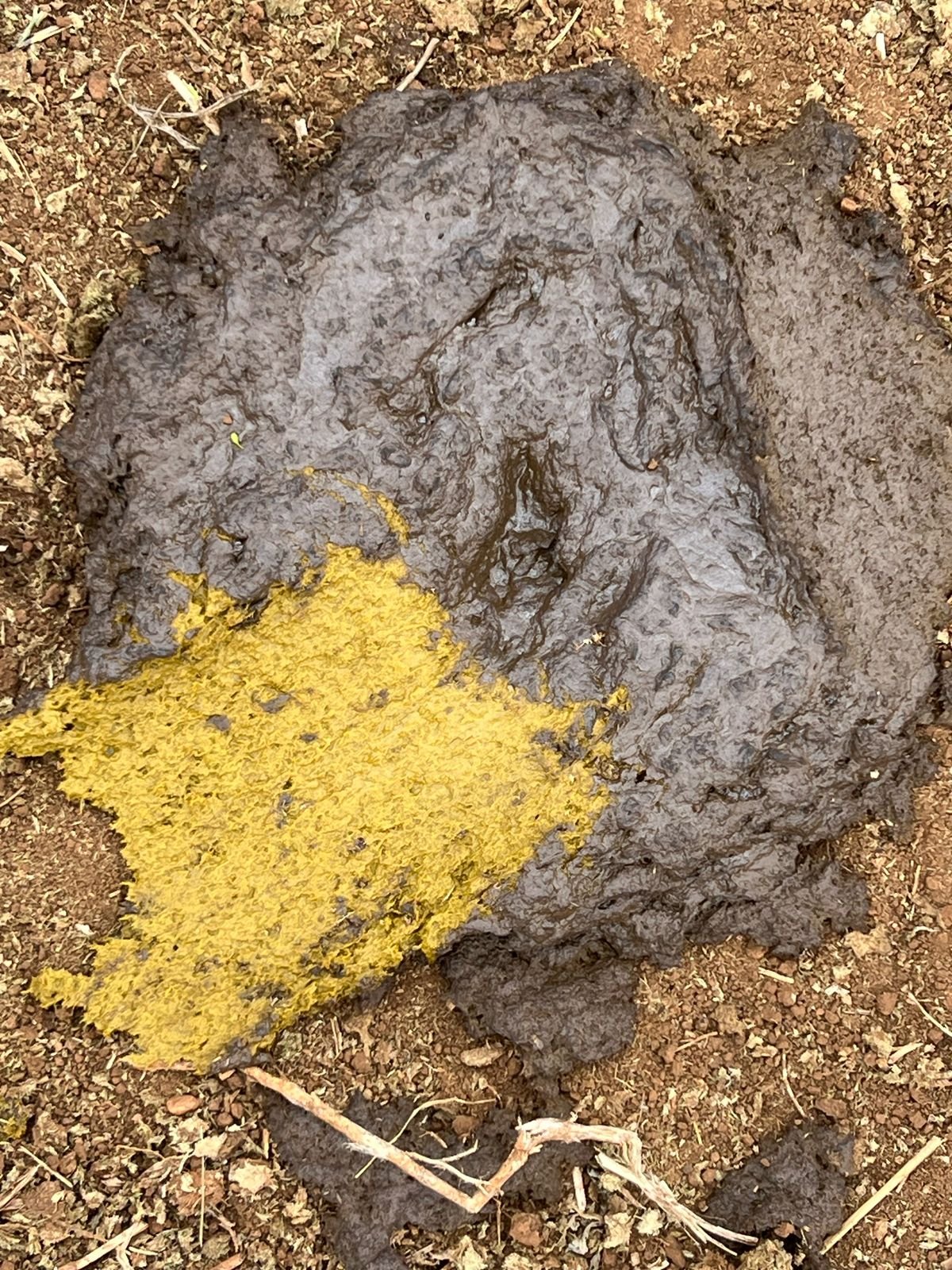 WhatsApp Image 2026-02-21 at 3.18.39 PM (3)