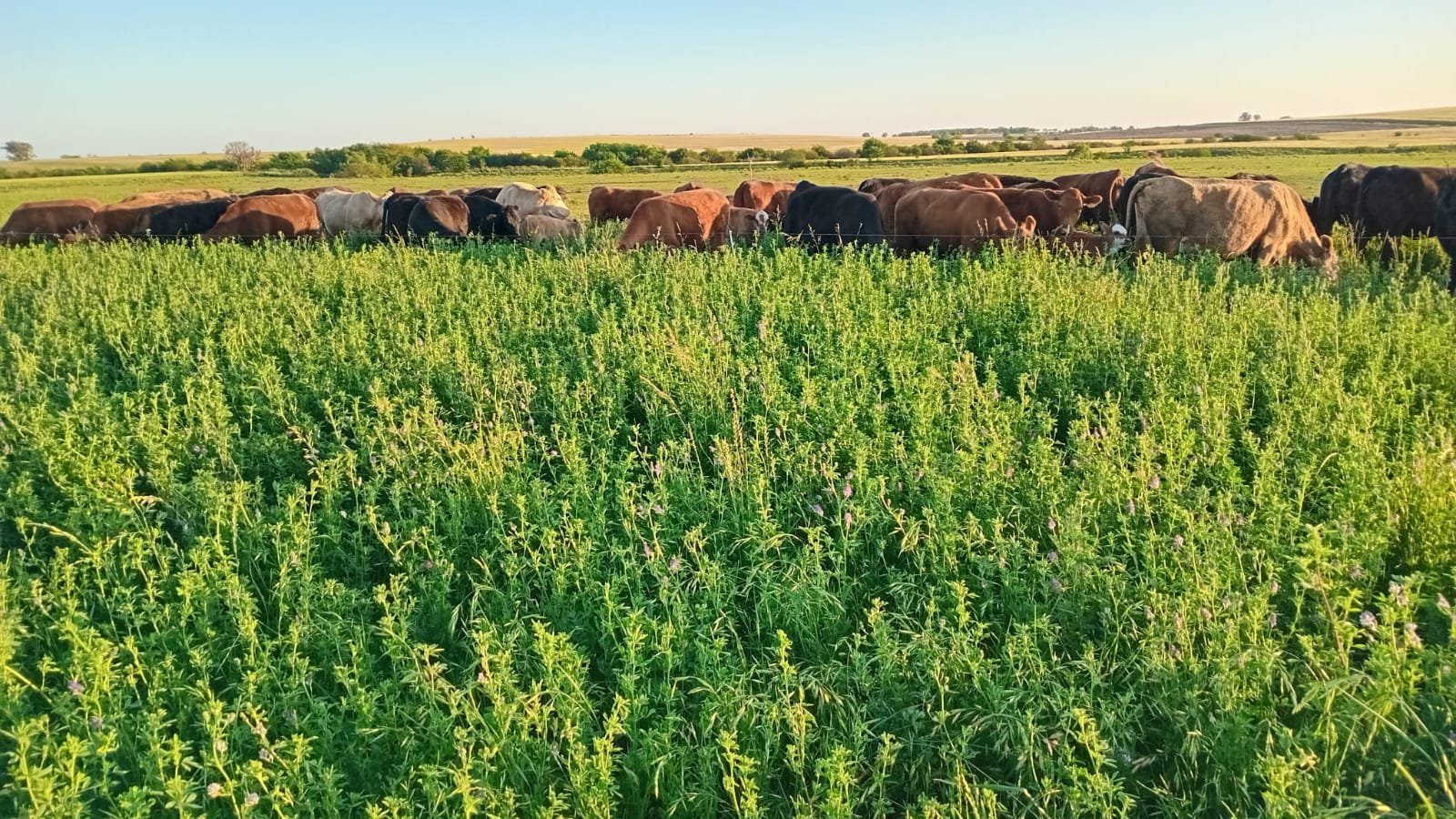 WhatsApp Image 2026-02-21 at 3.18.44 PM