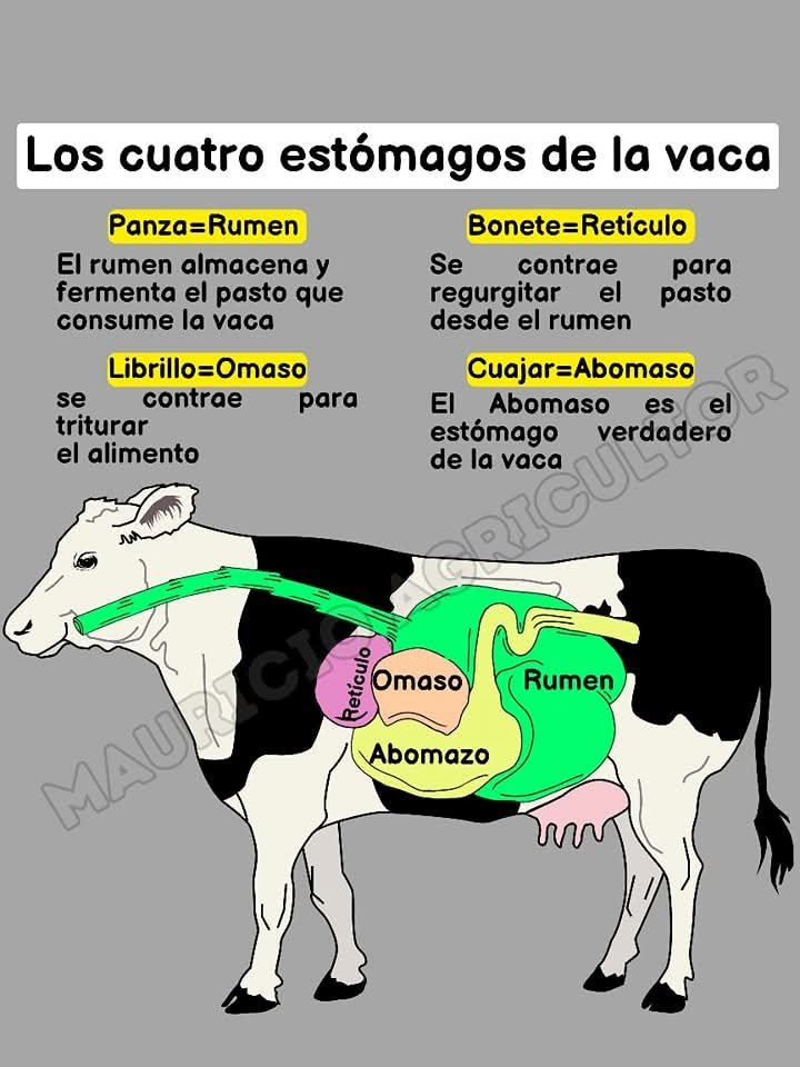 WhatsApp Image 2026-02-21 at 3.32.41 PM